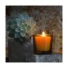 candle_beeswax_votives_4_pack_3_800x1066 Pure Beeswax Votive Candles - 4 Pack