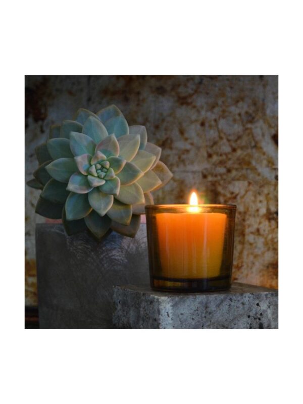 candle_beeswax_votives_4_pack_3_800x1066 Pure Beeswax Votive Candles - 4 Pack