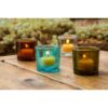 canlde_beeswax_tea_light_24_pack_3_800x1066 Pure Beeswax Tea Light Candles - 24 Pack