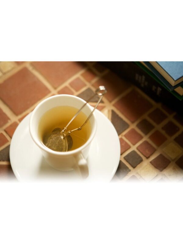 Fox Run Brands Tea Infuser
